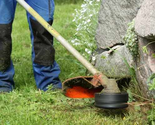 Gartenpflege und Rasenschnitt in München