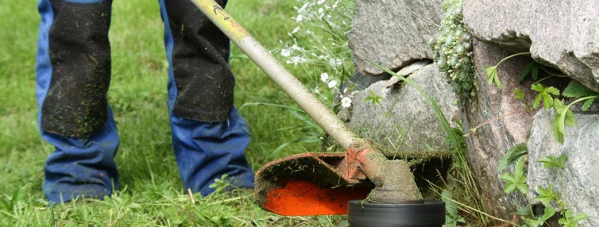 Gartenpflege und Rasenschnitt in München