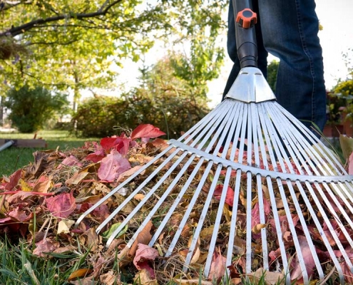 Laub entfernen im Garten in München