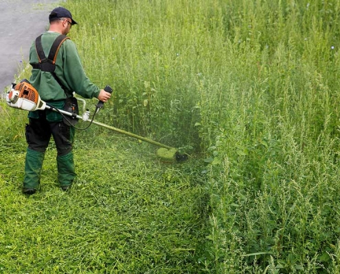 Wiese- und Rasen Rückschnitt in München