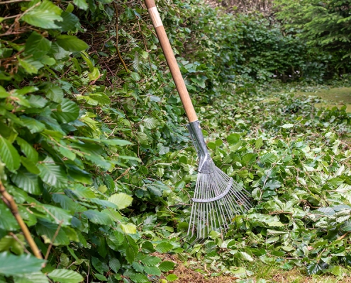 Heckenrückschnitt und Gartenpflege